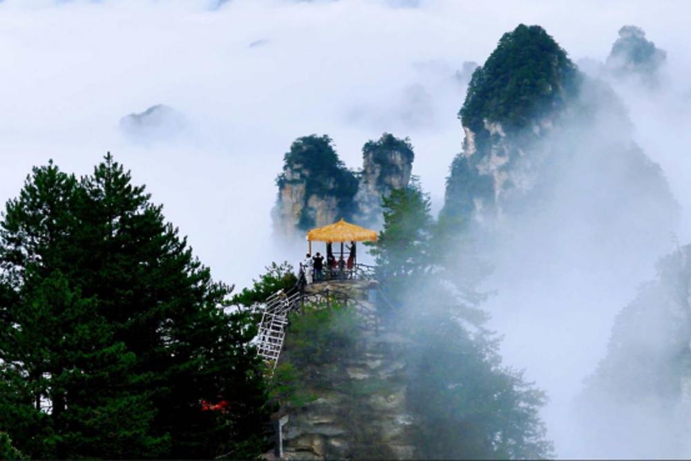 楊家界天波府觀(guān)云海